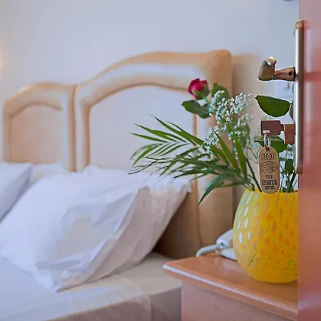 埃皮达维利亚酒店 托隆