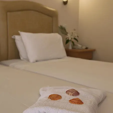 埃皮达维利亚酒店 托隆